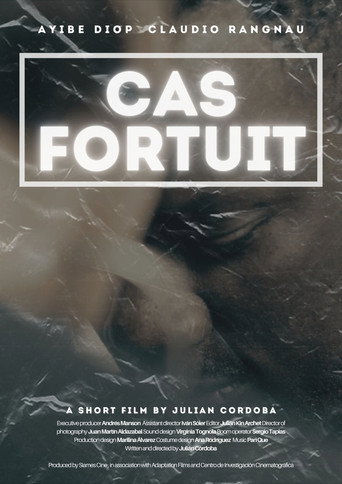 Cas Fortuit movie poster
