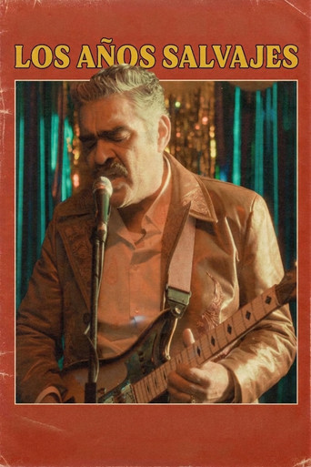 The Wild Years movie poster