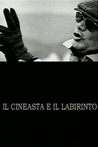 The Filmmaker and the Labyrinth movie poster