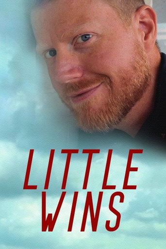 Little Wins movie poster