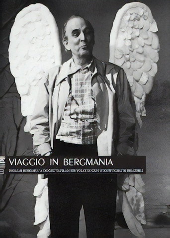 Viaggio in Bergmania movie poster