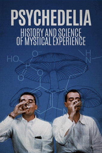 Psychedelia movie poster