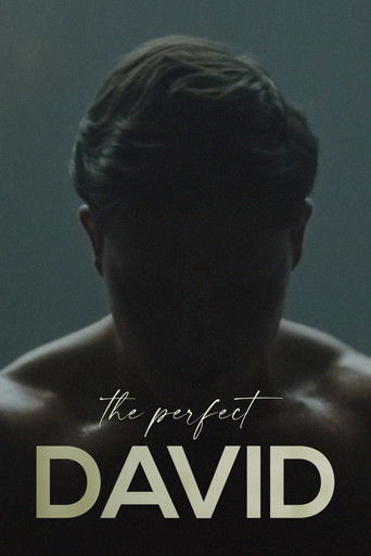 The Perfect David movie poster