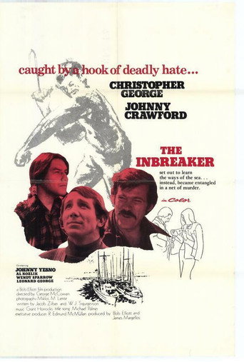 The inbreaker movie poster