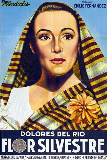 Wild Flower movie poster