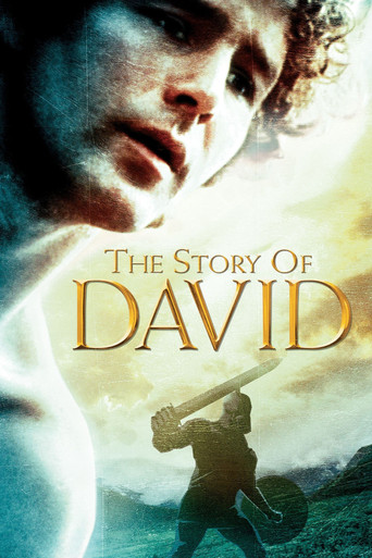 The Story of David movie poster