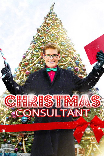 The Christmas Consultant movie poster