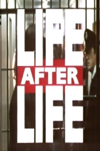 Life After Life movie poster