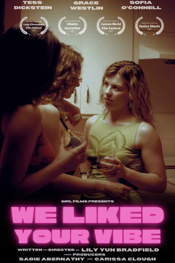 We Liked Your Vibe movie poster