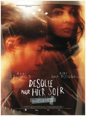 Désolée pour hier soir movie poster