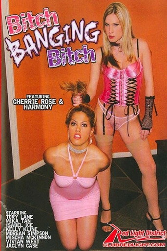 Bitch Banging Bitch movie poster