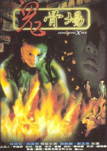 Hong Kong X File movie poster