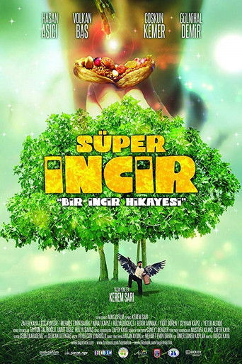 Super Fig movie poster