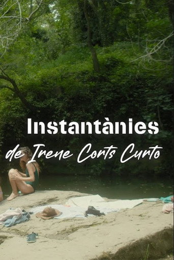 Instantànies movie poster