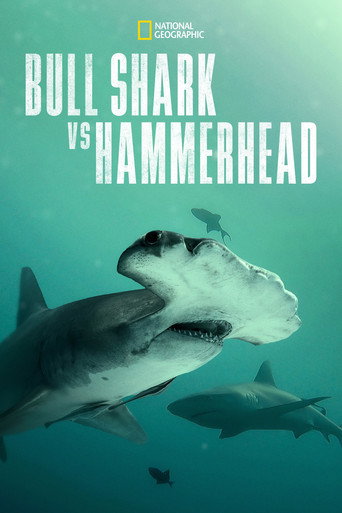 Bull Shark vs. Hammerhead movie poster