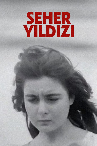 Seher Yıldızı movie poster