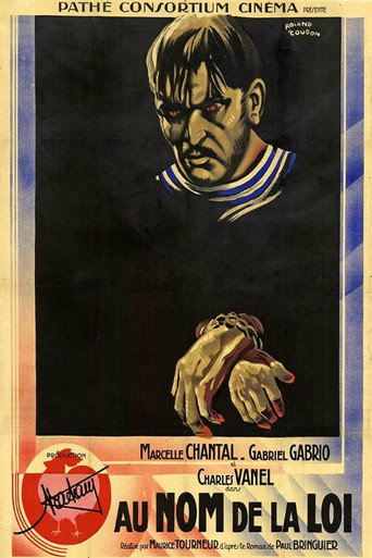 In the Name of the Law movie poster