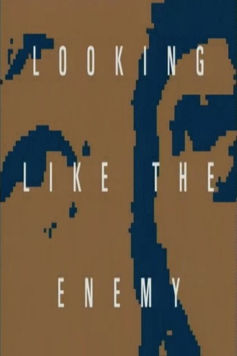 Looking Like the Enemy movie poster