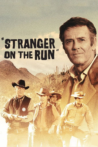 Stranger on the Run movie poster
