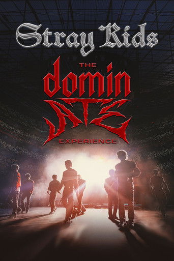 Stray Kids: The dominATE Experience movie poster