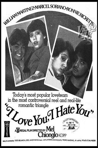 I Love You, I Hate You movie poster