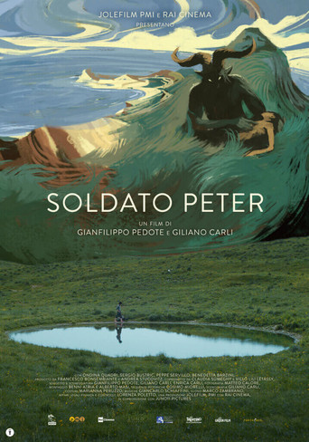Private Peter movie poster