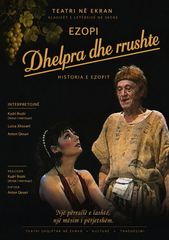Dhelpra dhe rrushte movie poster