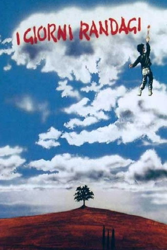 Stray Days movie poster