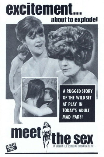 Meet The Sex movie poster