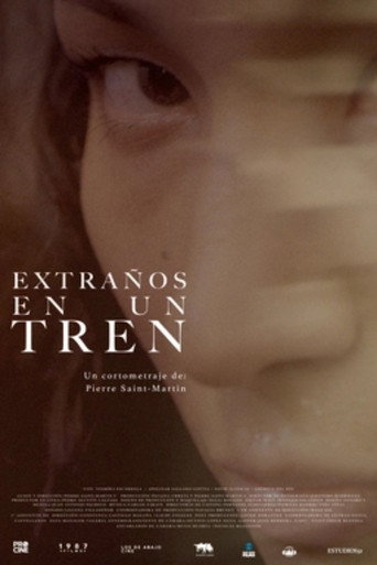Extraños en un tren movie poster