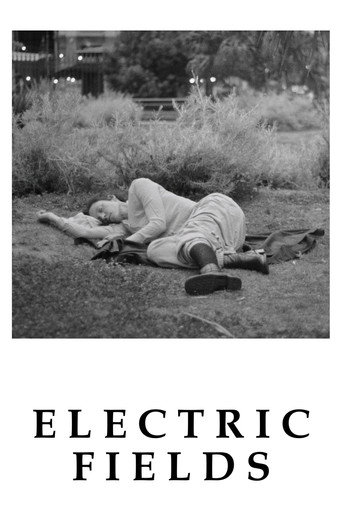 Electric Fields movie poster