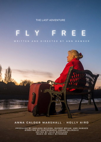 Fly Free movie poster