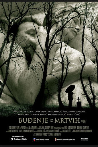 Awakening from the Dead movie poster