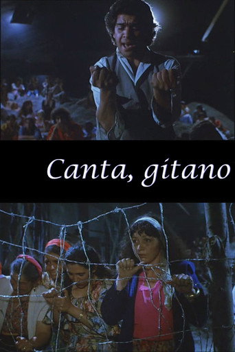 Canta Gitano movie poster