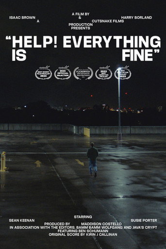 Help! Everything is Fine movie poster