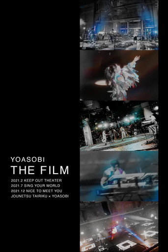 THE FILM movie poster