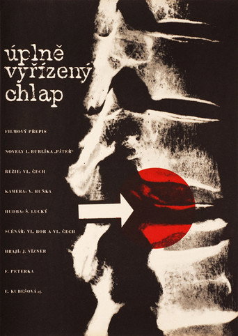 Úplně vyřízený chlap movie poster
