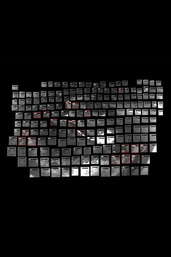 Remote Occlusions movie poster