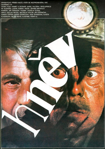 Hněv movie poster