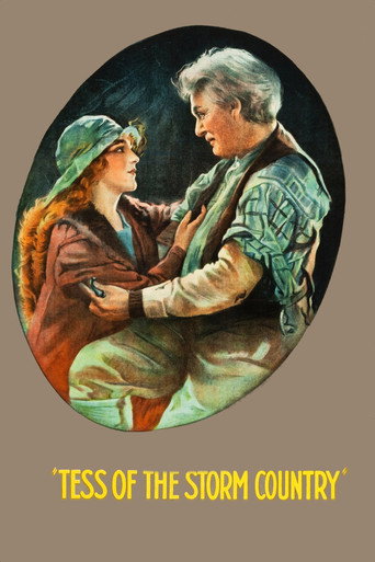 Tess of the Storm Country movie poster
