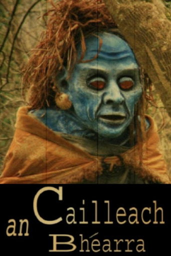 An Cailleach Bhéarra movie poster