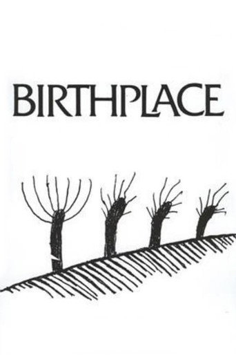 Birthplace movie poster