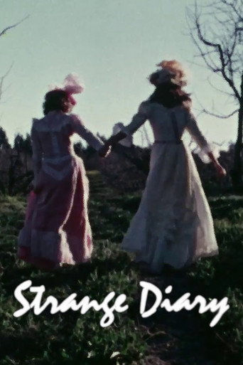 Strange Diary movie poster