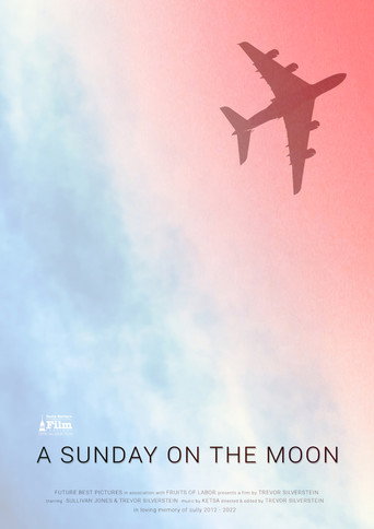 A Sunday on the Moon movie poster