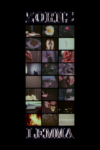 Zorns Lemma movie poster