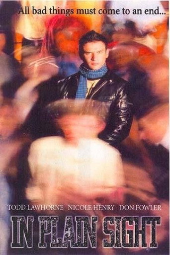 In Plain Sight movie poster