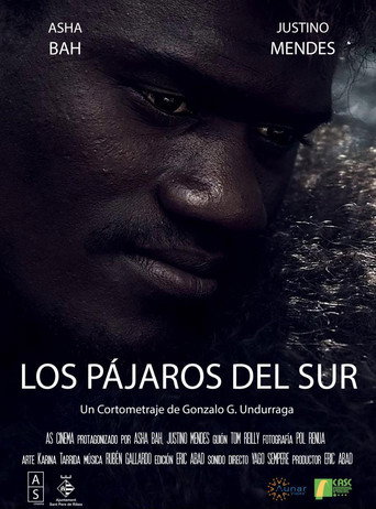 Los Pájaros del Sur movie poster