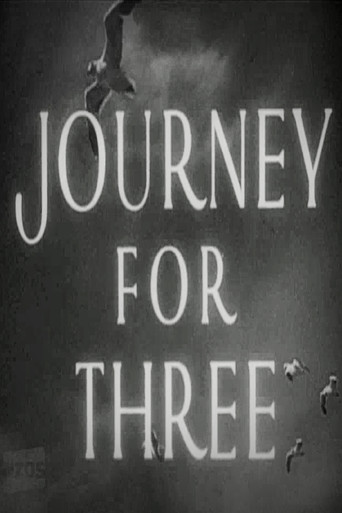 Journey for Three movie poster