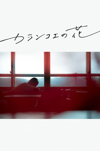 Kalanchoe movie poster