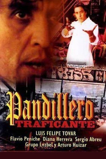 Pandillero traficante movie poster